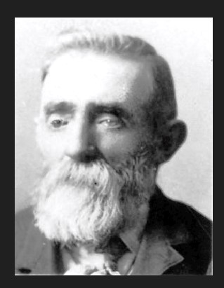 Henry Gillins (1841 - 1919) Profile